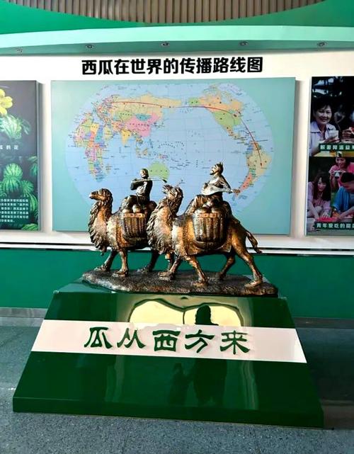 西瓜历史