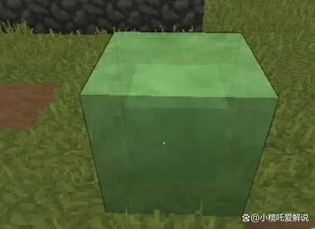我的世界粘液块不能粘什么