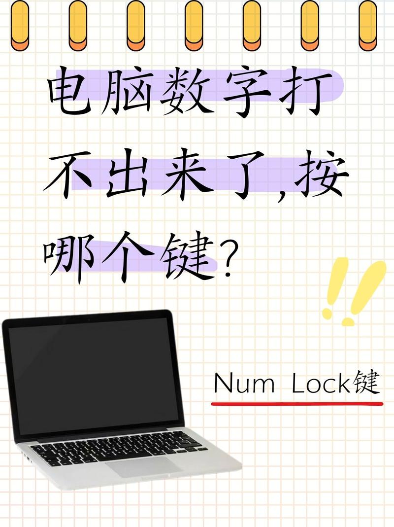 笔记本电脑开机数字键盘打不出数字