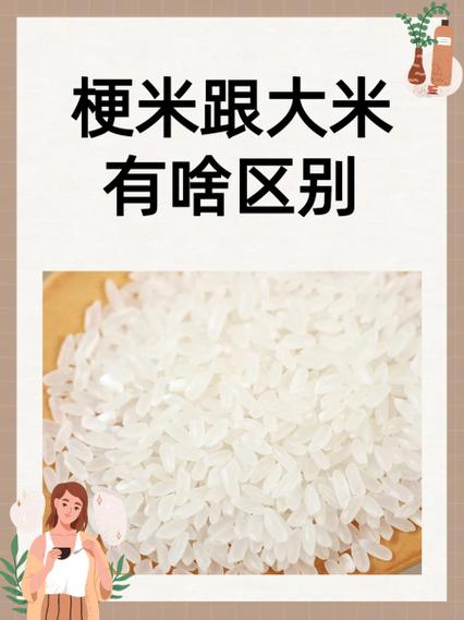 梗米是啥米啊