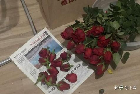 花店不开了花还在开下一句是什么