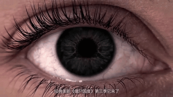 僵尸国度演员表