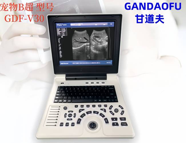 10大B超品牌