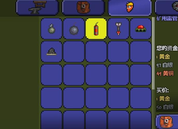 泰拉瑞亚神圣之种