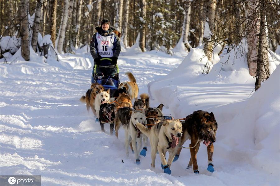 地铁跑酷easft仿外雪地版本的特点