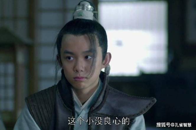 琅琊榜二飞流去哪了