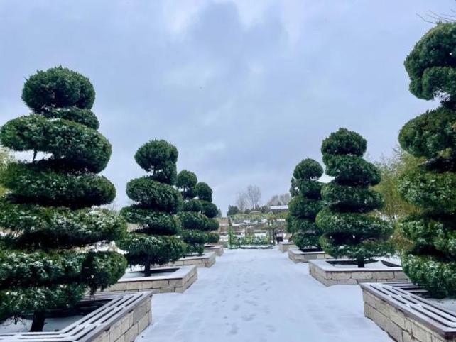 snow美颜贴纸相机