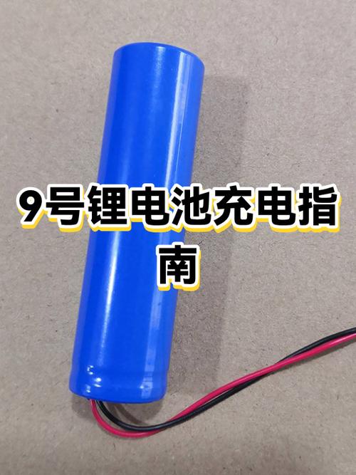 九号设置充电上限