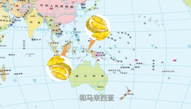 塞尔达传说榴莲哪里多