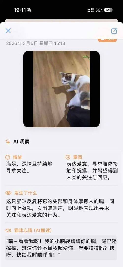 猫咪apk破解版下