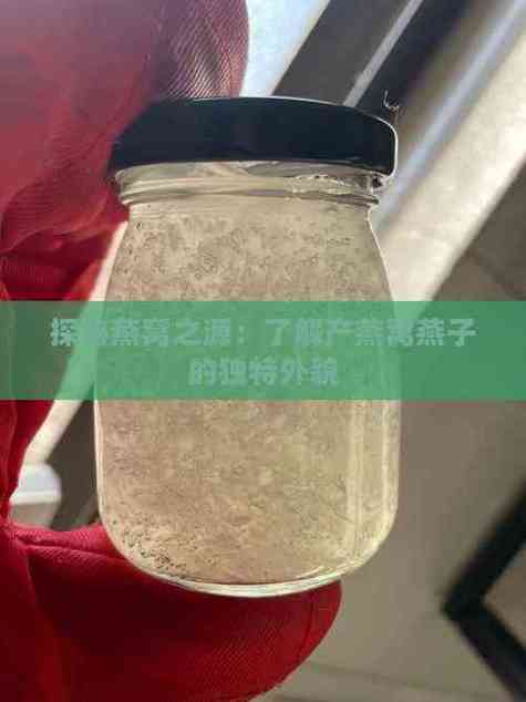 哪里的燕窝最好最正宗
