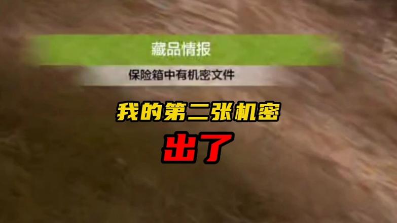暗区突围改文件游戏截图
