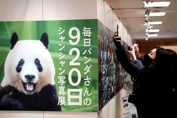 租借大熊猫的费用