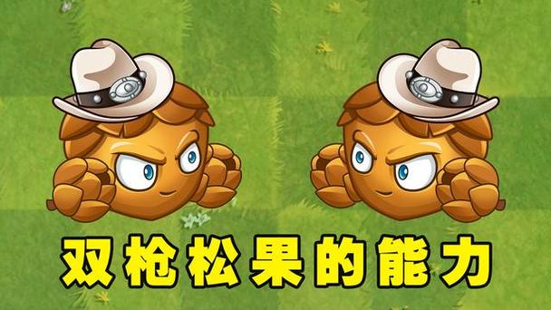 植物大战僵尸2双枪松果视频