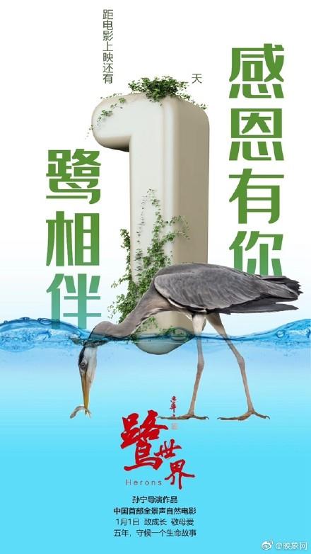鹭世界在线观看完整版缩略图