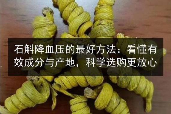 石斛能降血压吗