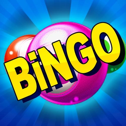 bingo音译歌词