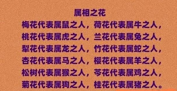 十二生肖每个生肖代表什么花缩略图