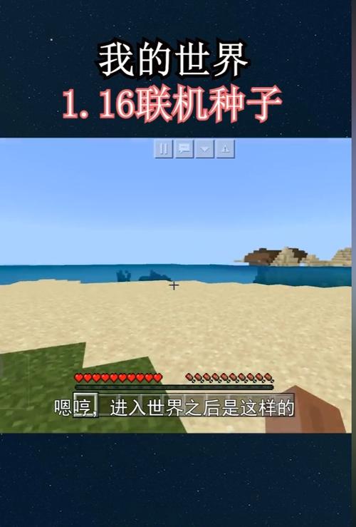 我的世界迪哥闯世界1.16联机