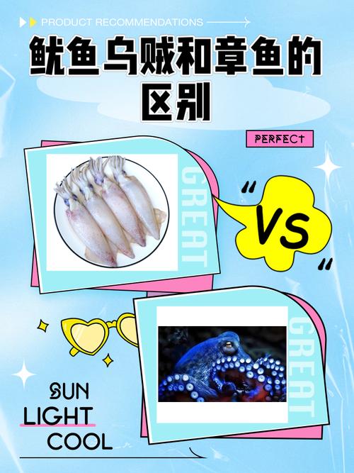 章鱼vs乌贼vs鱿鱼vs八爪鱼