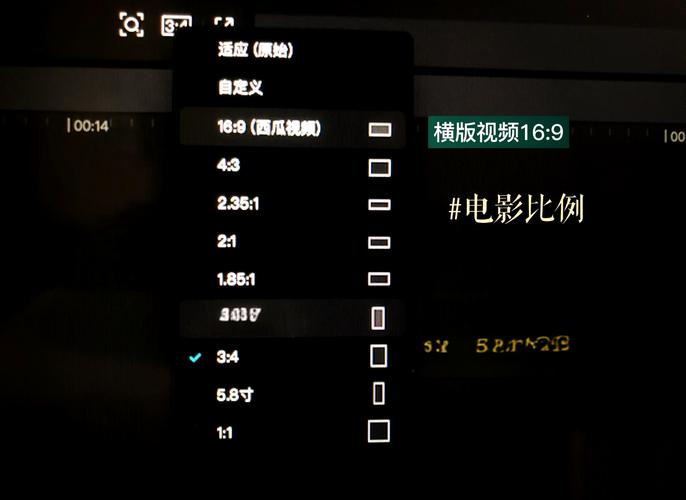 剪映改变视频大小