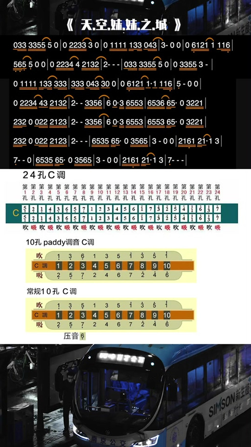 24组双联和弦口琴