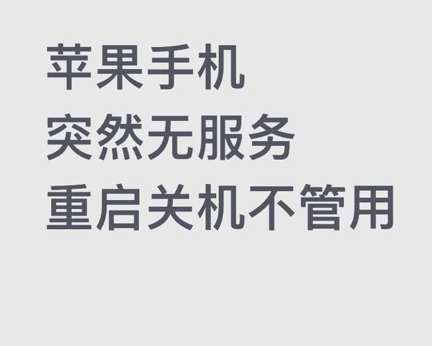 苹果手机突然没服务了怎么弄