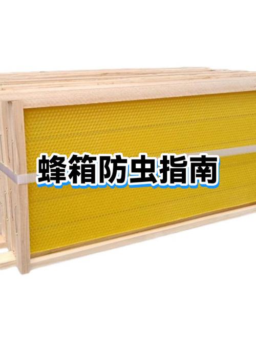 蜂箱清理最佳时间是几点