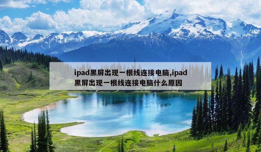 苹果黑屏出现一根线连接电脑