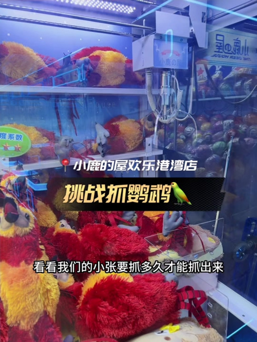 娃娃机抓到鹦鹉视频