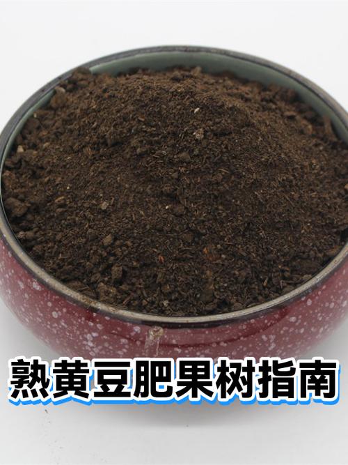 怎么才能让豆子熟得快
