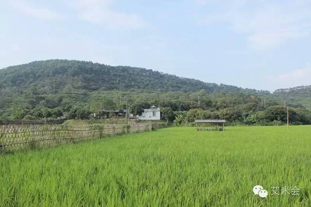 从化风云岭艾米农场