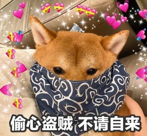偷心盗贼不请自来什么意思