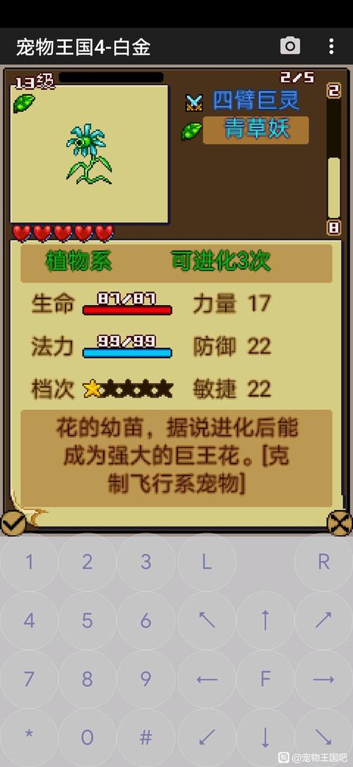 宠物王国单机版稀有宠物怎么获得