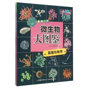 所有的真菌都是原核生物吗