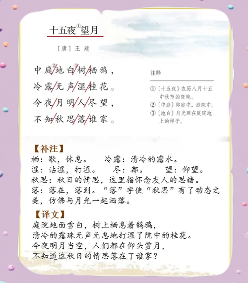 被明月兮佩宝璐翻译