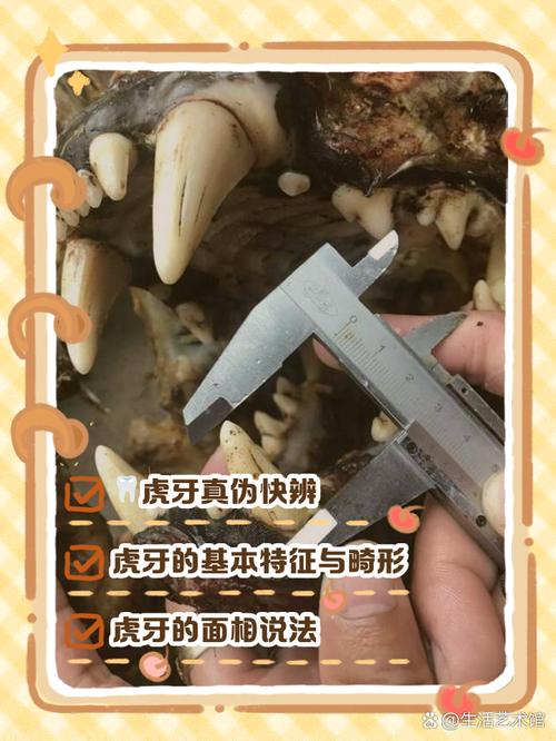 虎牙怎么不能切换流畅