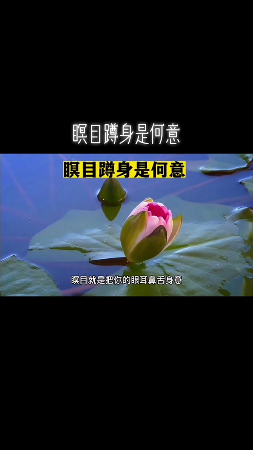 瞑目什么意思