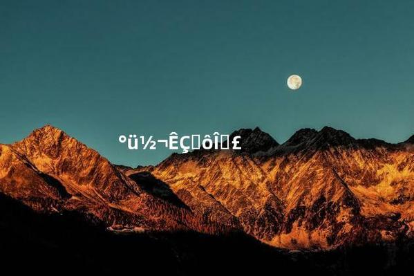 包浆网络用语是什么意思
