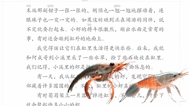 统编版小虾
