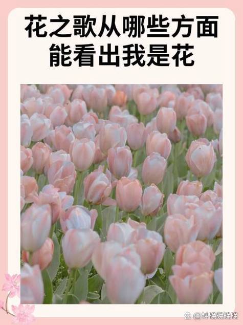 花之歌中的第一段自然的意思
