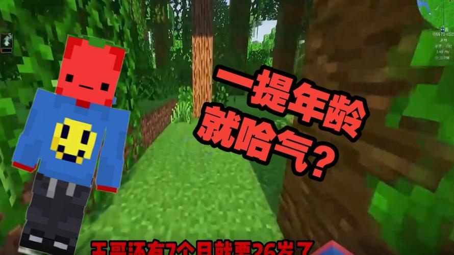 我的世界夏天y疯人院