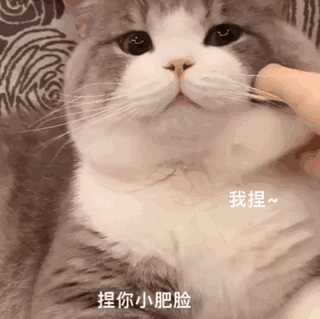 捏脸表情包的推荐理由