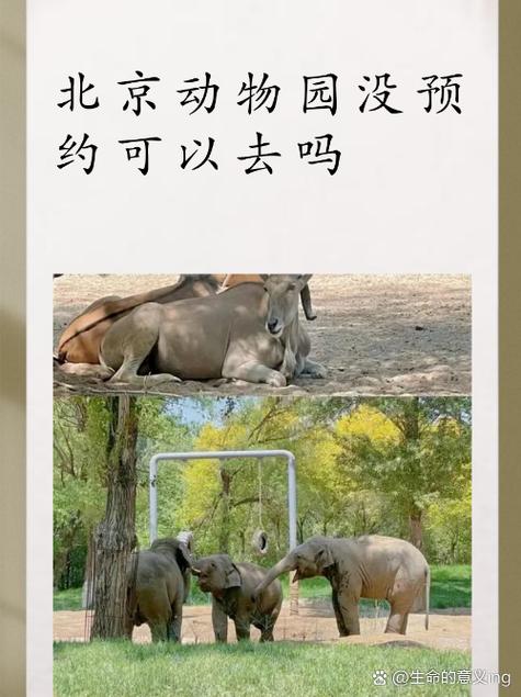 北京动物园需要提前预约吗