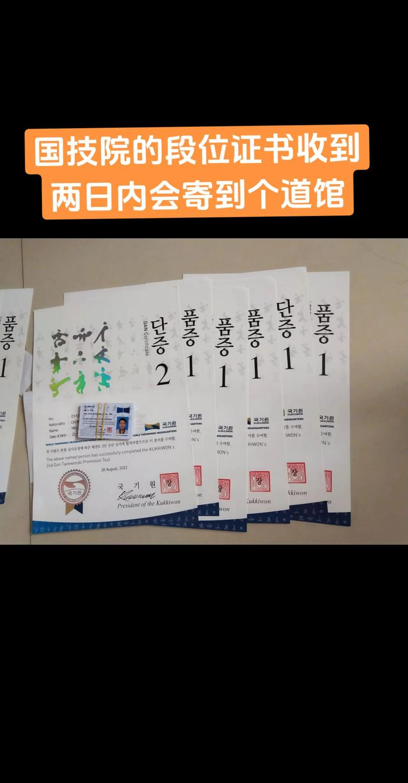 国技院官网段位查询
