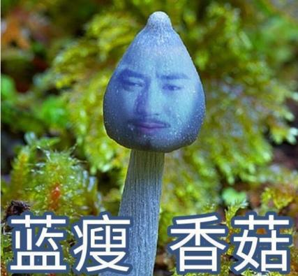 流行语蘑菇什么意思