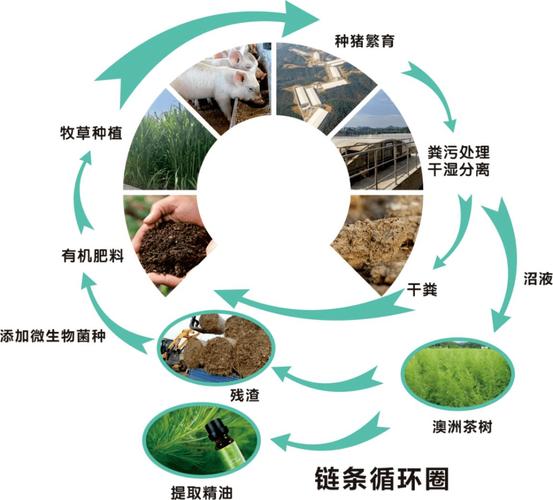 种植养殖循环生态链
