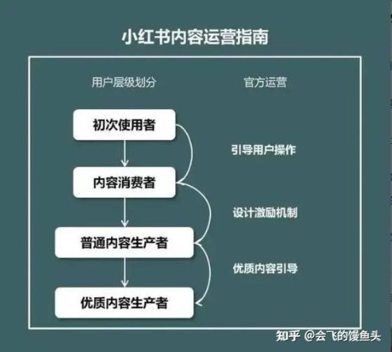 新手怎么运营小红书