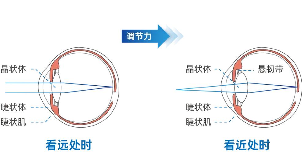 3米算近距离用眼吗