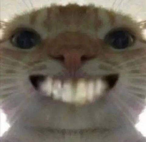 最近很火的魔性猫咪是什么截图